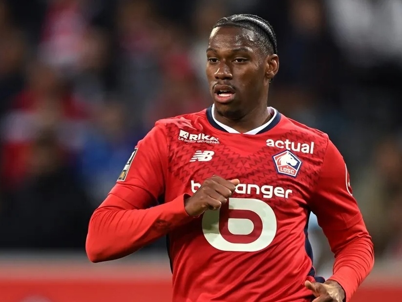 弗里克的模 弗里克的模